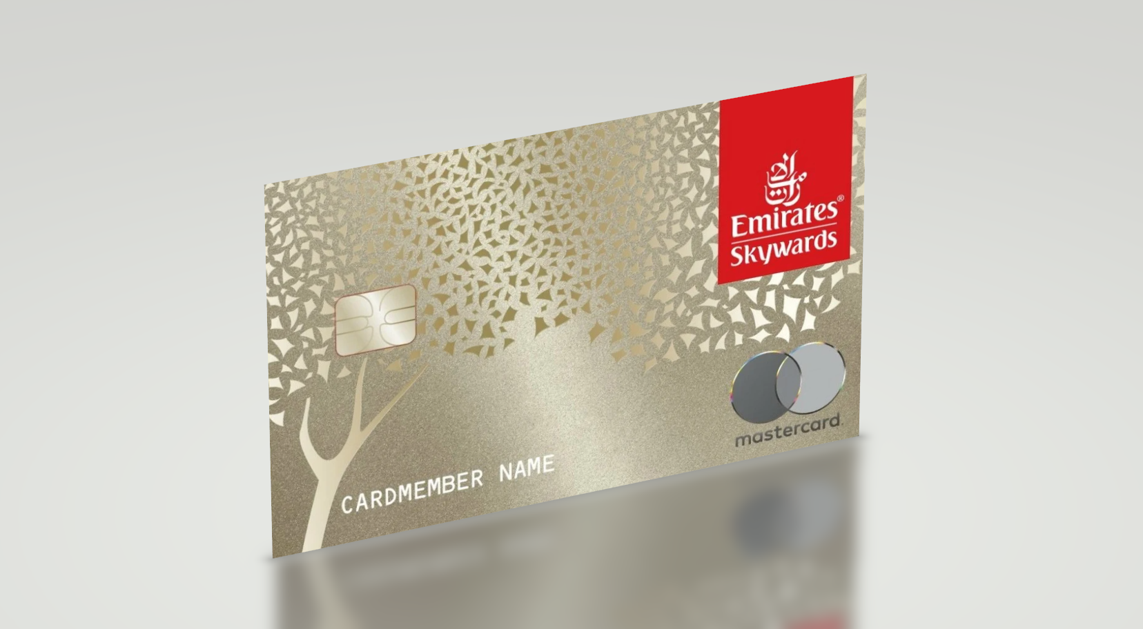 How to Apply for Emirates Skywards Premium World Elite Mastercard